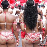 Carnival Jump Up ( Trinidad, St Vincent, Barbados, Grenada, St Lucia....
