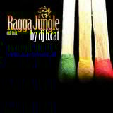 B.CAT-ragga-jungle open air cut mix