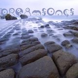 Rectified - Dreamsongs
