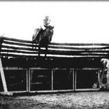 Cheval Radio - 13avr14 - n°83
