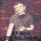 The Best of Pascal Junior Mix by Dj Noyd