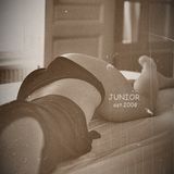 Dinujr - DH Podcast September (part 2)