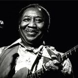Muddy Waters (1a parte)
