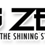 DJ ZEKE'S OLDIES BUT GOODIES VOL1 (HIP HOP)
