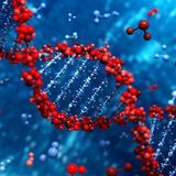 Genetic Manipulation