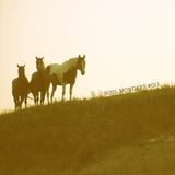 Soul Mondays #011 - A 'Lil Bit Country