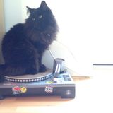 Rolling melodic drum & bass mix (August 2013)