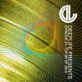 Deeplife Presents Episode 021 - 1.6.2016 - Top 20 of 2015