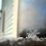 Technocean 002 - Icy Dub