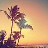 Canary islands