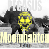 Pegasus - Moombahton Interlude