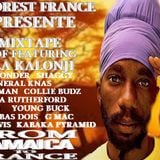 NEW**JUNE**2013 SIZZLA KALONJI MIXTAPE BEST OF FEAT
