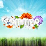 Snazzah - Summer Opening 2k15