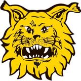 Veikkausliiga 2016 - Tampereen Ilves & Jarkko Wiss