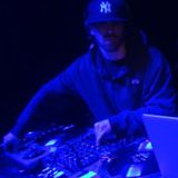 LIONDUB - DUBSPOT PODCAST 013 - ALL VINYL DUBSTEP MIX