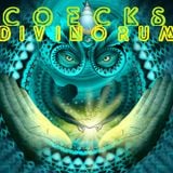 Coeck's - Divinorum (Original Mix)