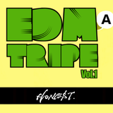 EDMA TRIPE Vol.1 @ZERO-4 JAN. 2016 #13