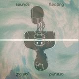 søunds fløating arøund: jan15.2