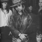 Especial Fields of The Nephilim (29-08-2013)