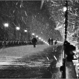 Blizzard !!! (by Slava Che)