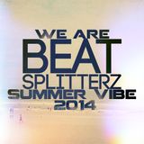 We Are Beat Splitterz - Summer Vibe 2014