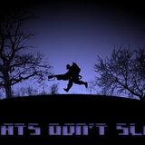 Secretlab - Robats don't sleep