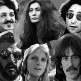 Thirty Three Plastic Ono Beaucoups Wings