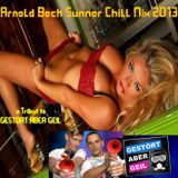 Arnold Beck Summer Chill Mix 2013 a tribute to Gestört aber Geil