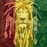 Ras To The Bone - In Dub We Trust V