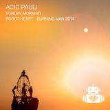 Acid Pauli - Burning Man 2014