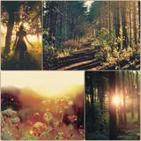 WinterCast#6: It was dark before I met you in the woods