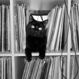 Arsonist- Spontan Vol.12