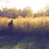 14 Seasonal Transformations by SIMON SCOTT