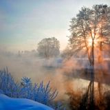 The mist