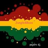 jungle & bass