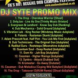 One Love Festival 2011 Promo Mix