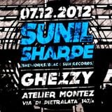 Sunil Sharpe @ Day C - Atelier Montez Rom - 07.12.2012
