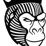 Premo's 5K Electro Run Mix Spring 2013 Edition