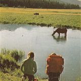 Nature & Beauty vol.1