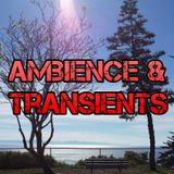Ambience & Transients 033 - KCSB (06-05-15)