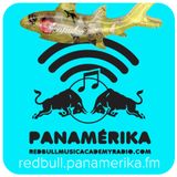 Red Bull Panamérika No.356 - Ceviche de tiburón 2015