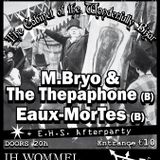 M.Bryo & the Thepaphone live in Wommel 27 June 2015