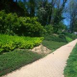 Camino Soul #06 12