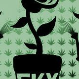Fky dope 01