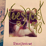 Neeshcast #48: the clay in your hands (+ SuperFry song Premiere)