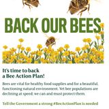 Beekeeping: an extended interview with Michelle and Raina from Hatters WI