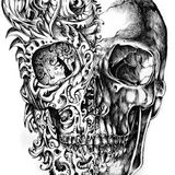 Through The Veil
