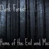 Dark Forest Nights 2014