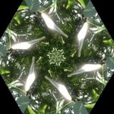 Supercozi - Tropical Insanity Mix Vol.1