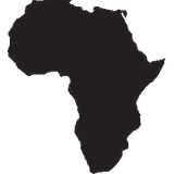 Nigerian Funky Cat Mix